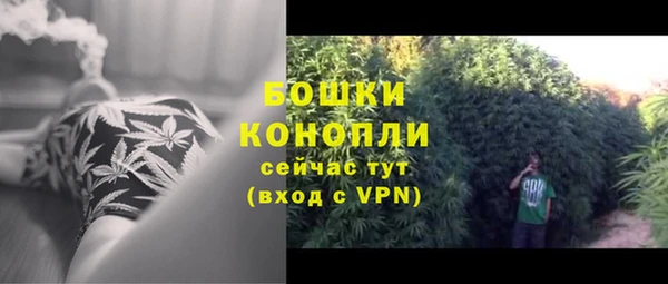 ГАЛЛЮЦИНОГЕННЫЕ ГРИБЫ Покачи