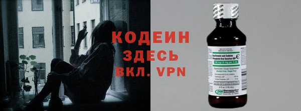 СК Пересвет
