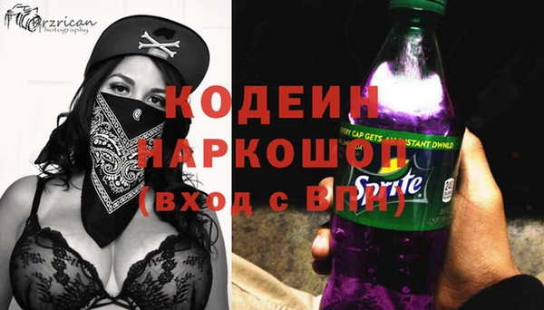 гашик Сосновый Бор