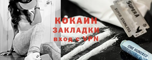 СК Зерноград