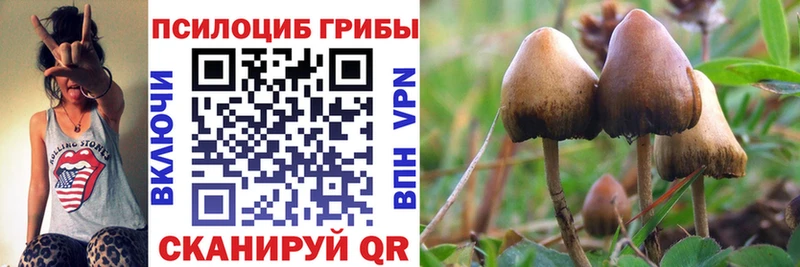 Галлюциногенные грибы Cubensis  Радужный 